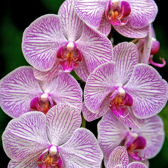 你踩到老子的脚了