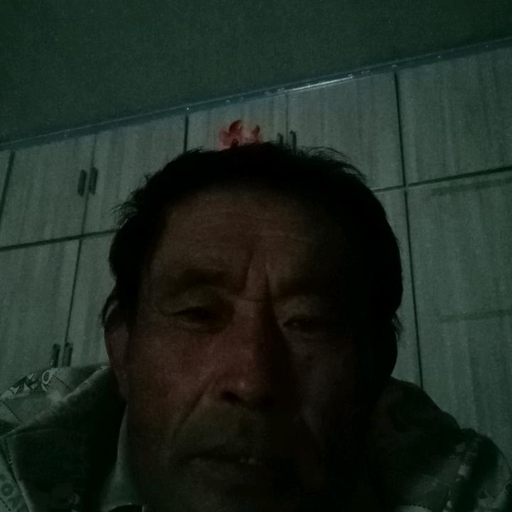 心随我动