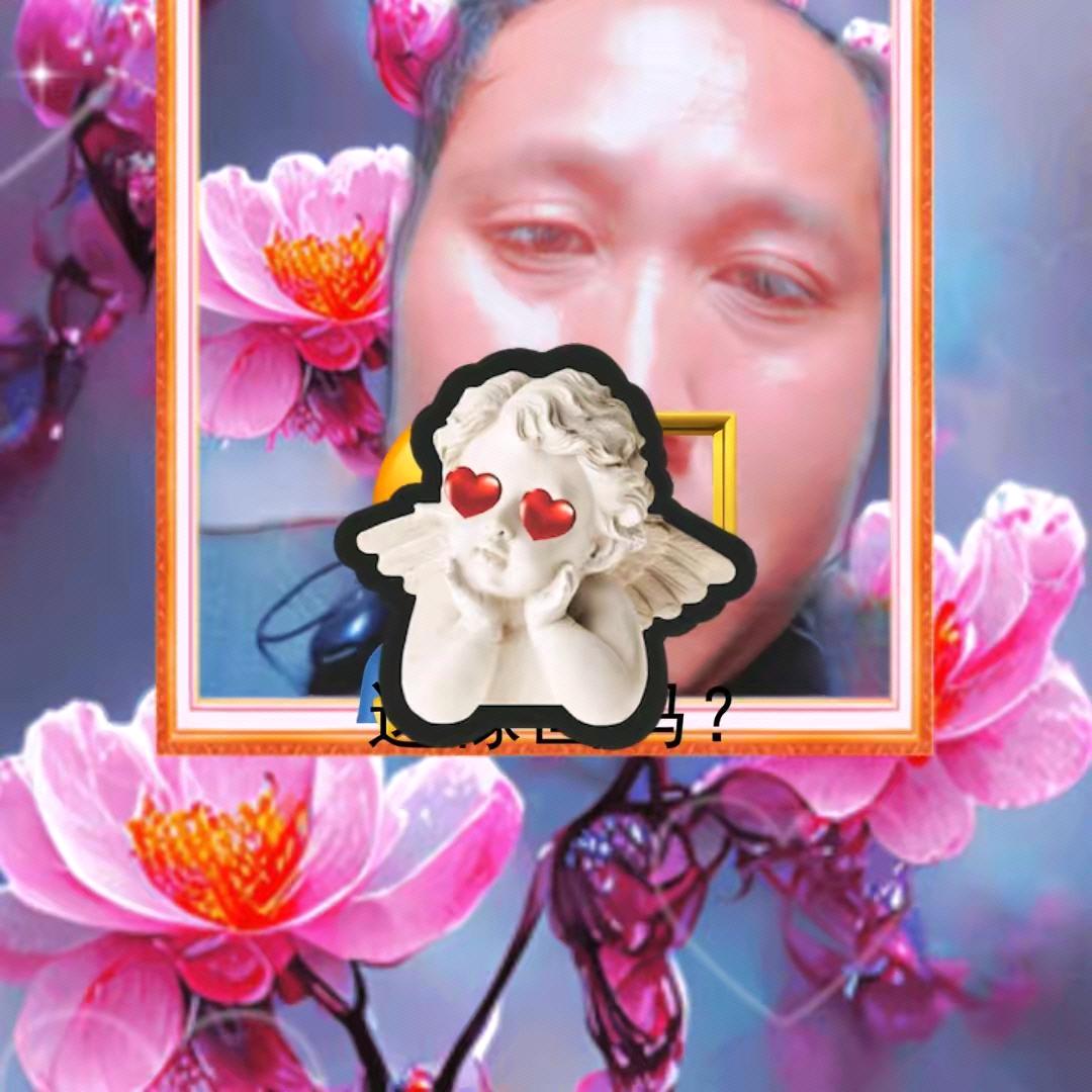 大宋戶外1381679382