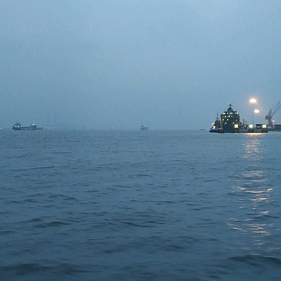 酒酿小鱼干儿🐟/