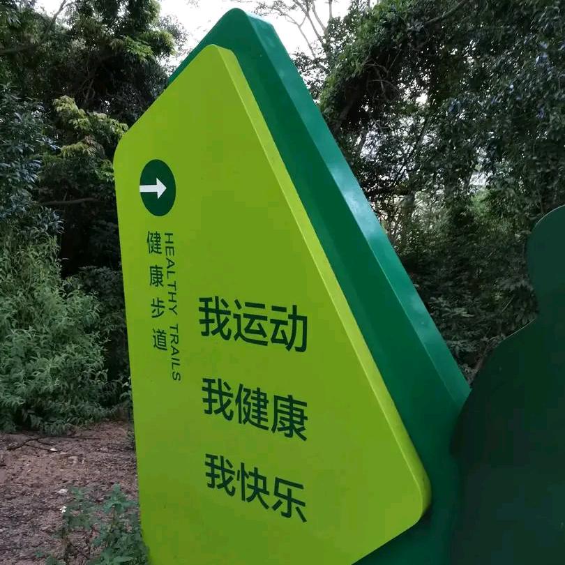 暴富解忧