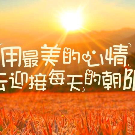 冰封缘