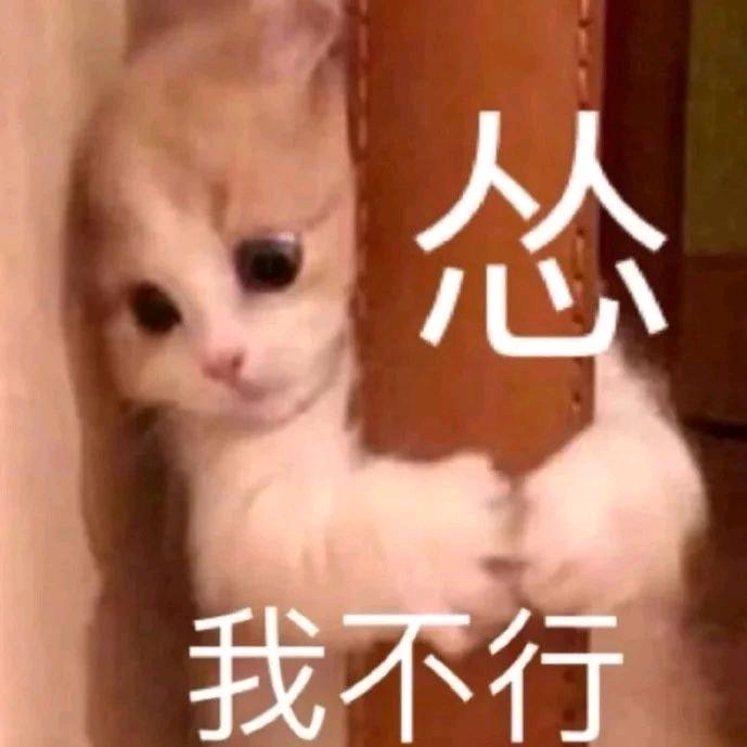 鲸落