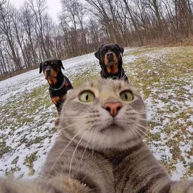 西关印象华艺玉雕木雕