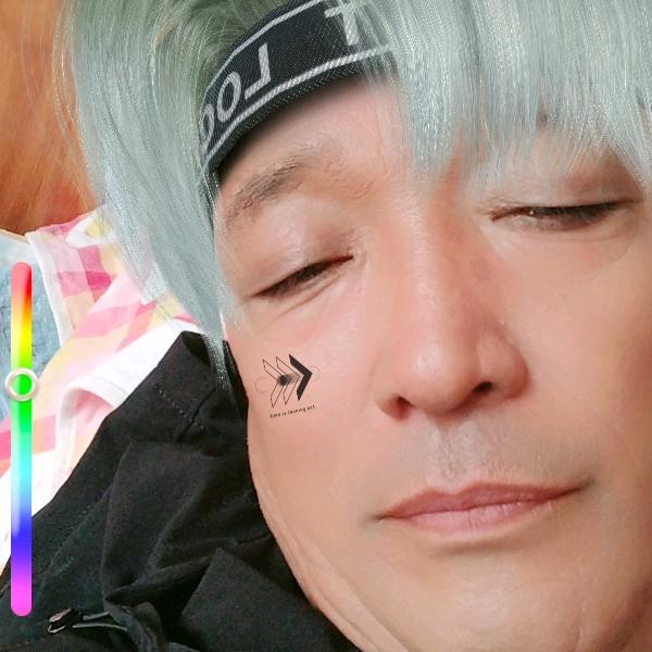 四毛