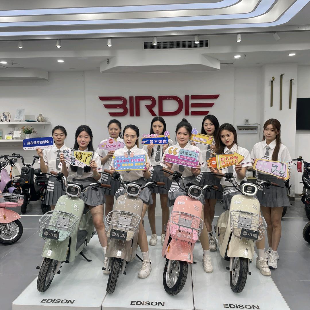 小鸟电动车（林州旗舰店）