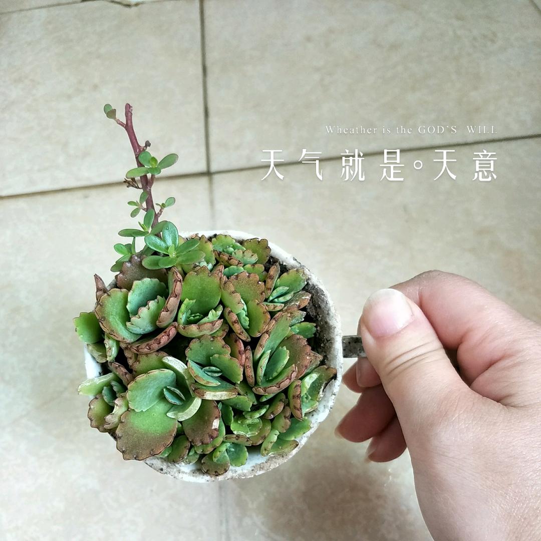 💞᭄᪲ᩚ꯭水枝꧔ꦿ້໌ᮨ᭄ℳ