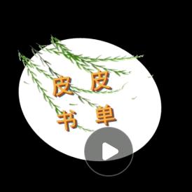 皮皮书单(巨旦)