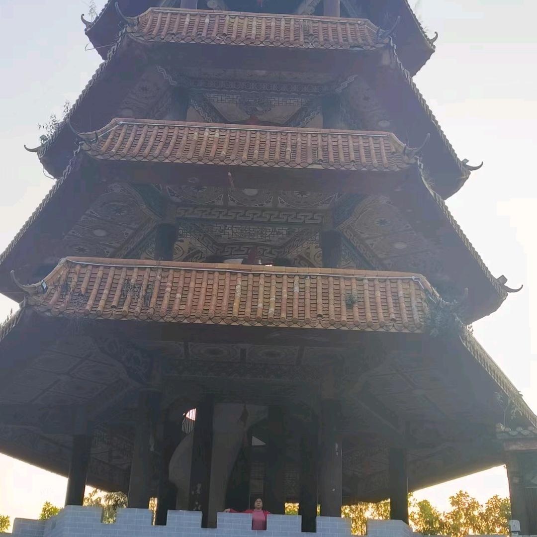 nnd李花