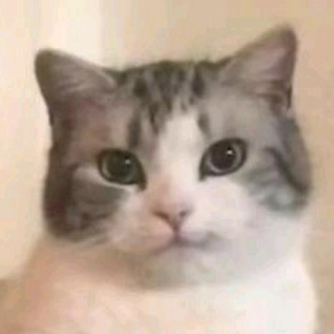 阿漆
