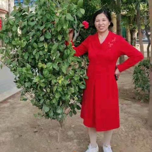 玉娥