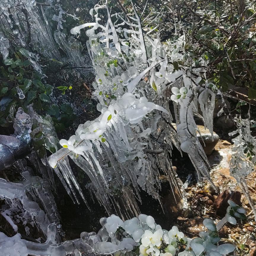 给生活比个叶✌🏻先生