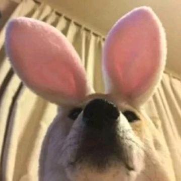 宇宸