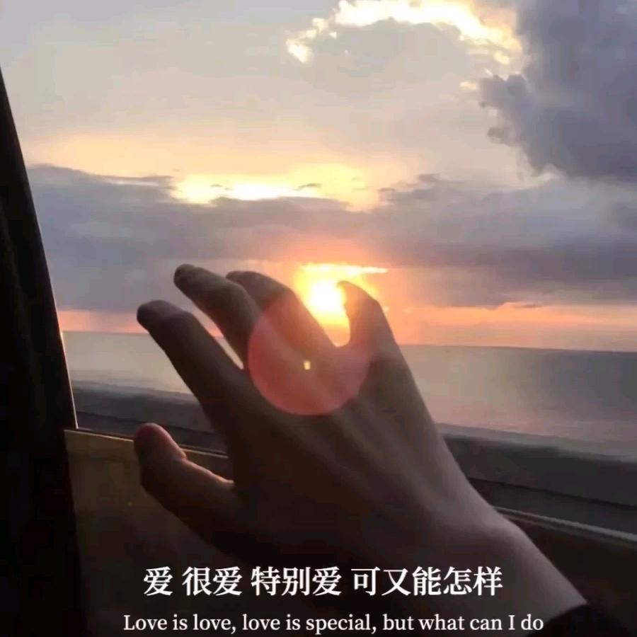 归属`