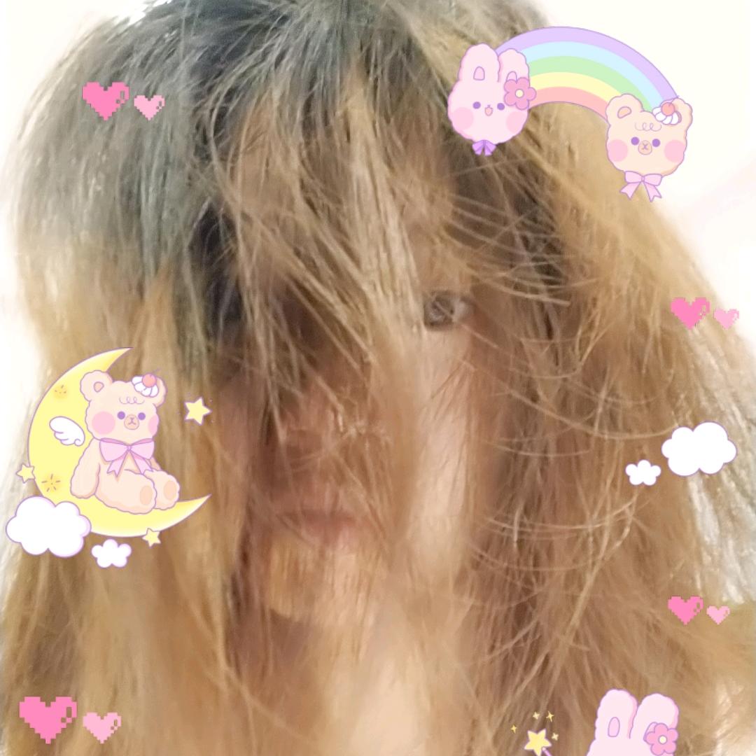 圆圆圆