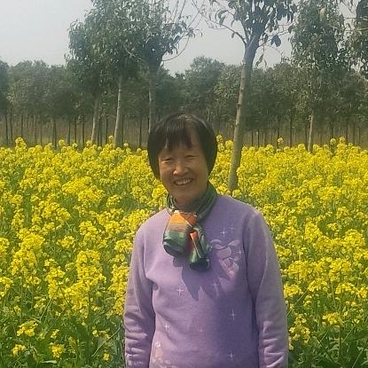 .老许