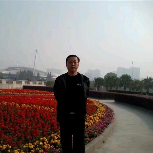 向阳花开