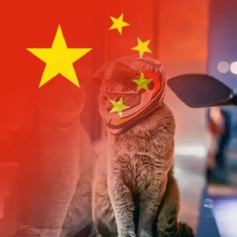 孤独症患者