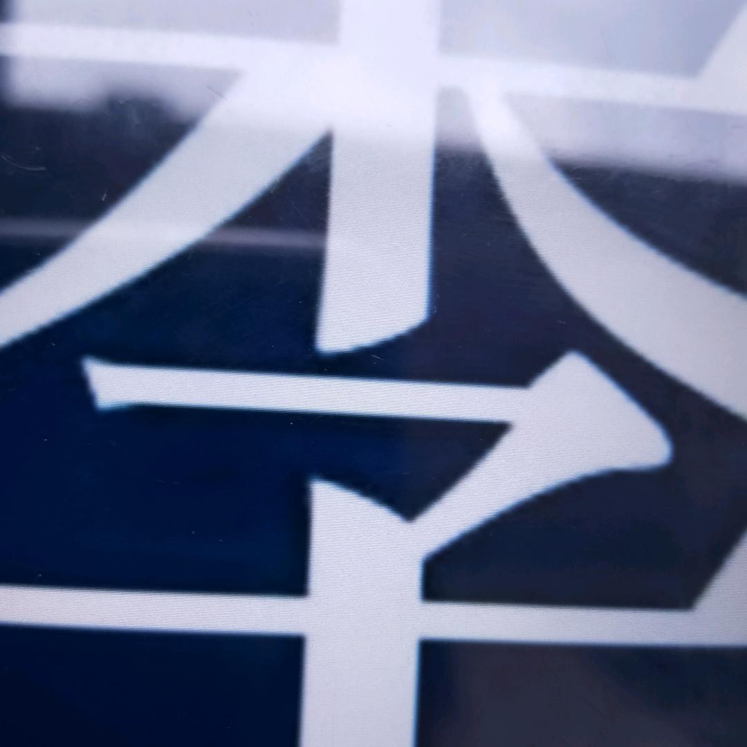 李大姐小猪出售