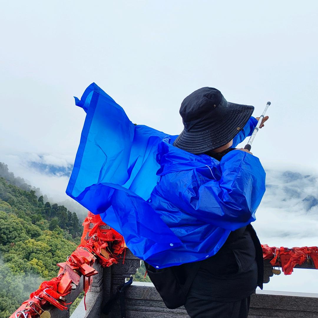 王泓楷