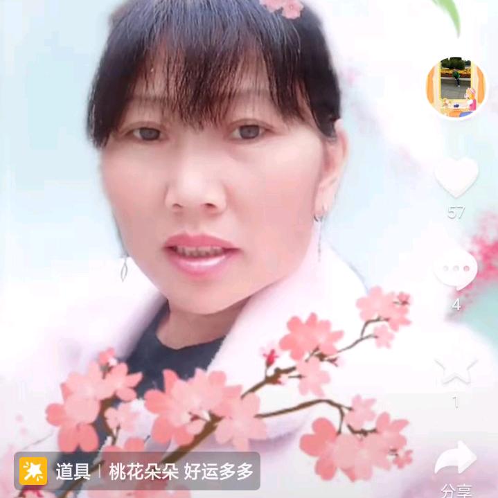 空城旧梦