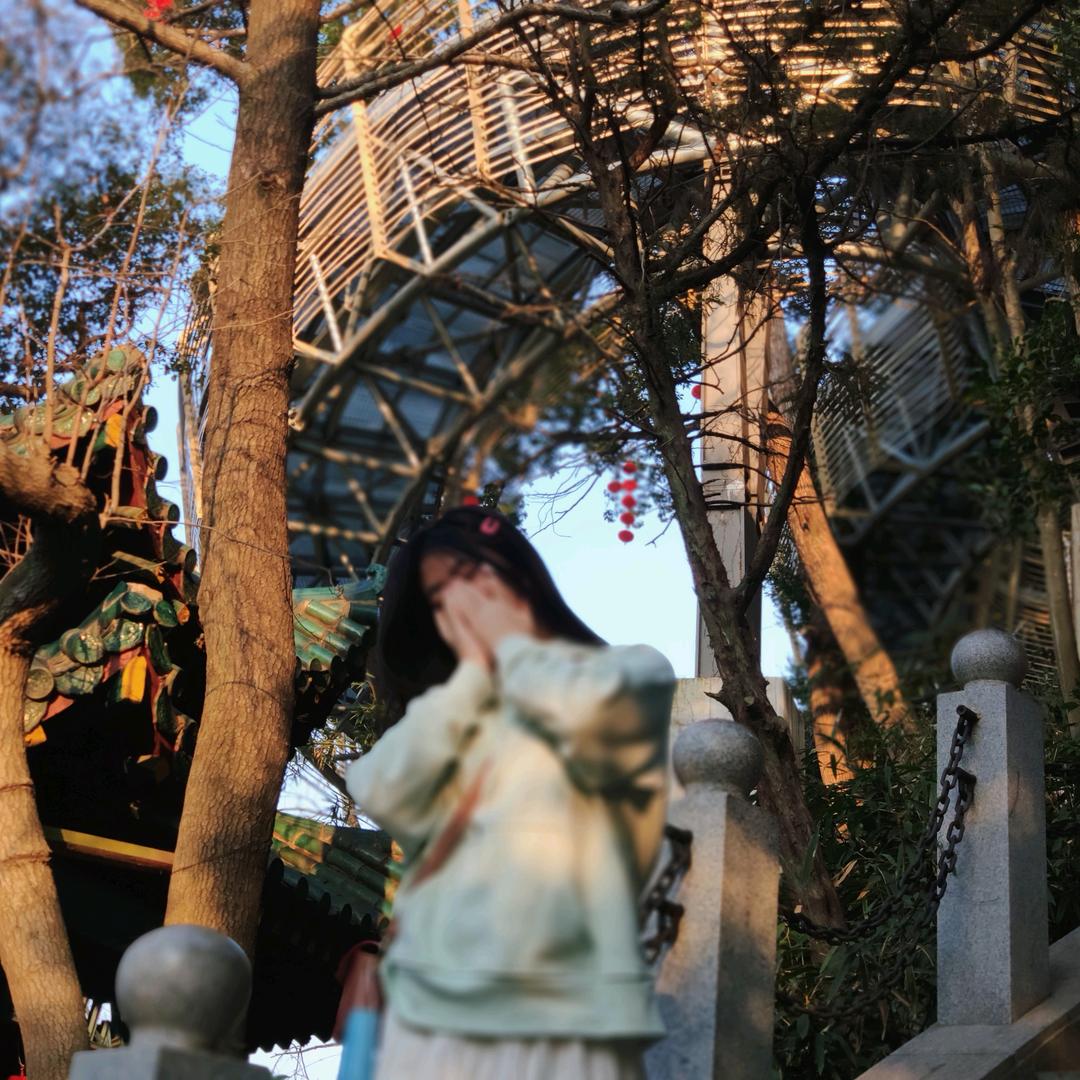 欣星星💜💛