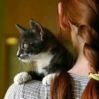 晚古