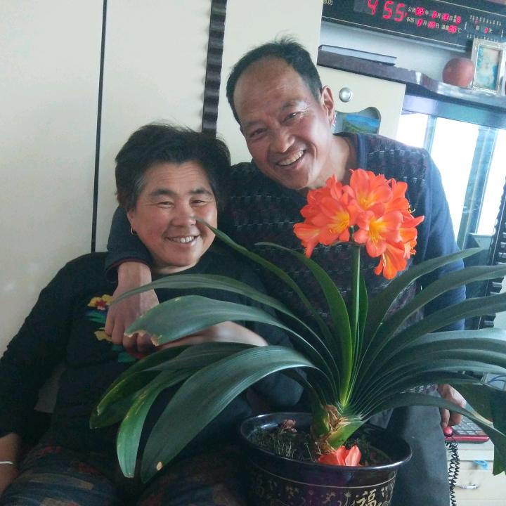 幸福一家人A头像
