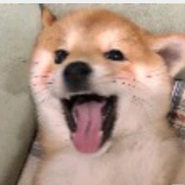 花果山水帘洞猴儿王