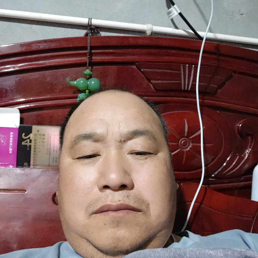 朱派文