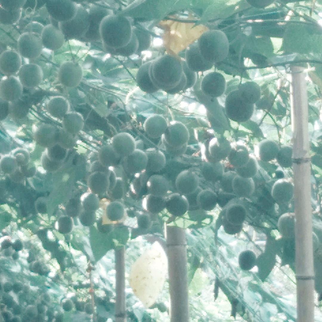 未来就是希望。