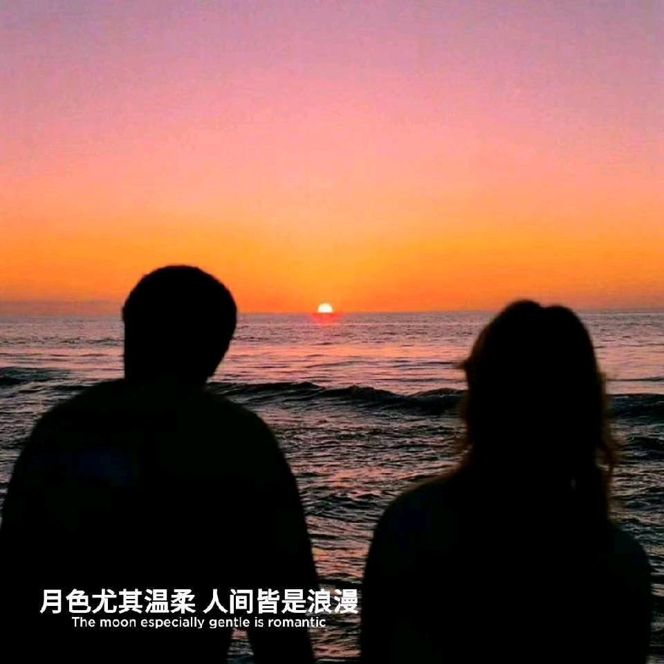 莫回头
