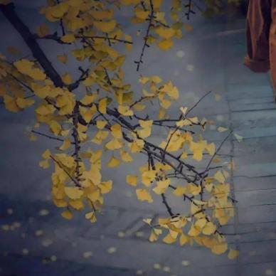 淺笑欢诚言