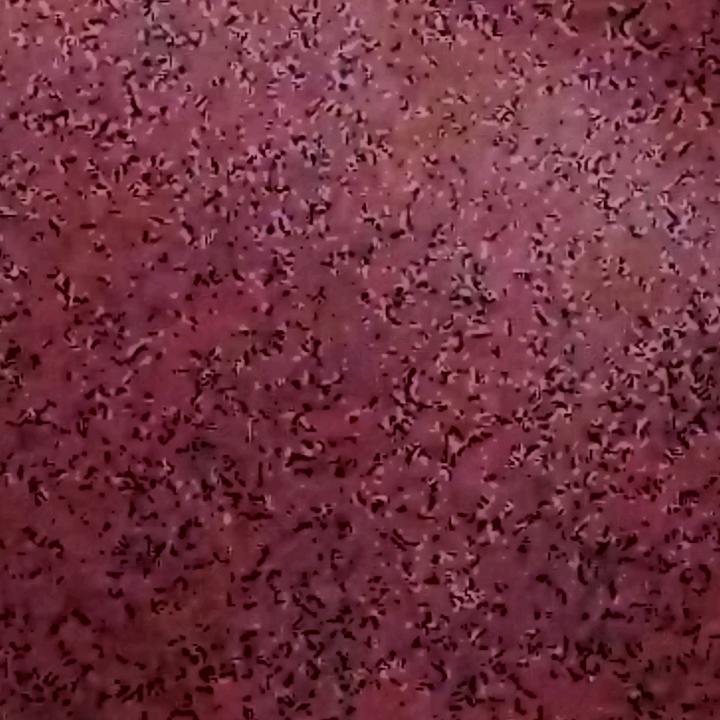 美田