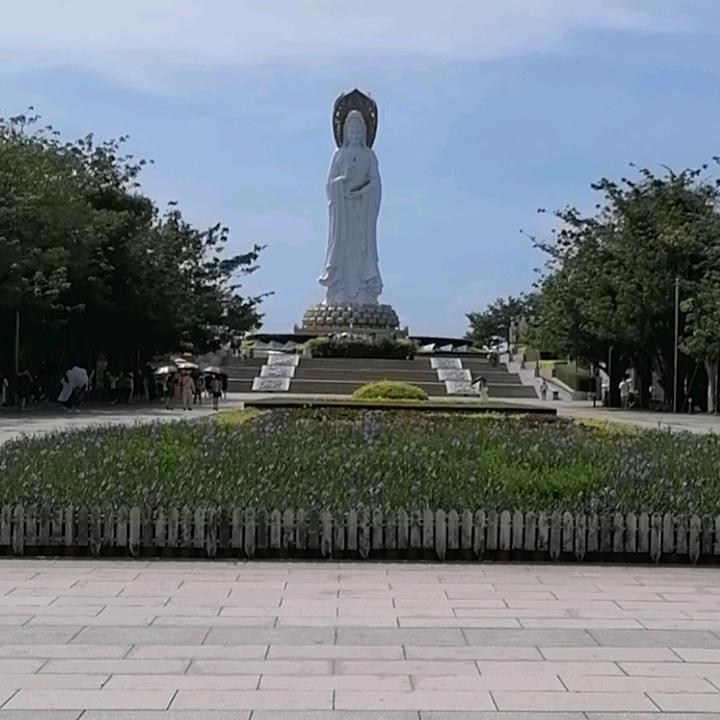 聪锅锅