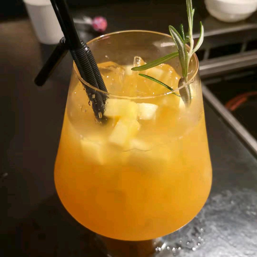 盯着猫的鱼