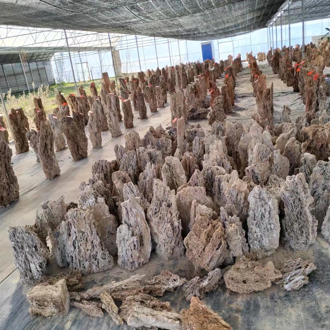 吸水石上水石之家