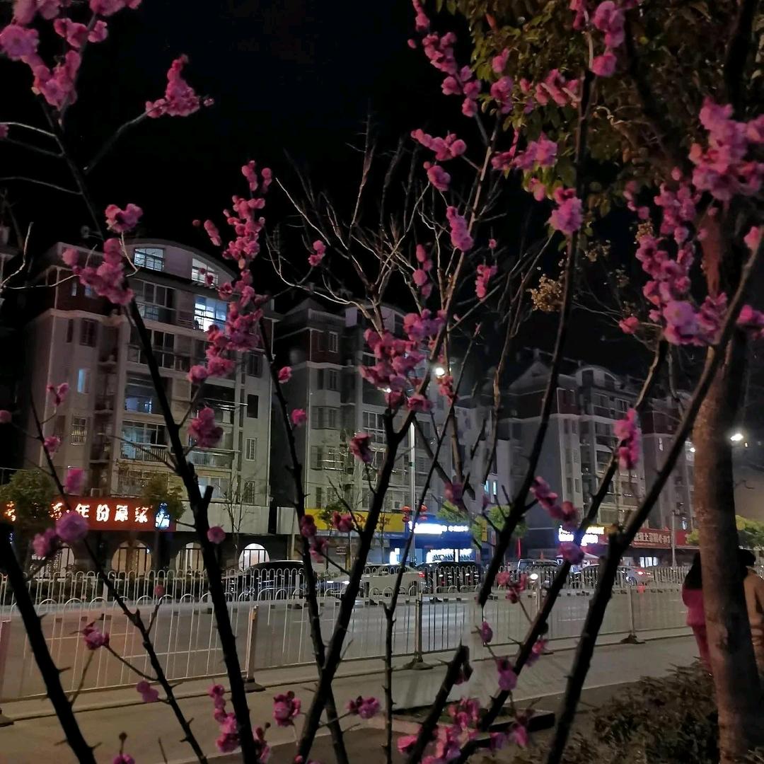 冷暖自知