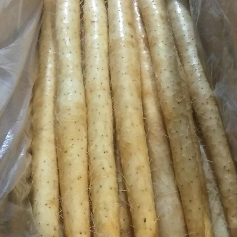 三兄弟麻山药