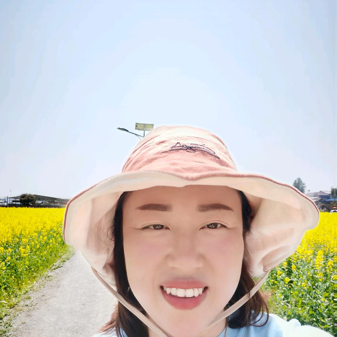 湖南浏阳宝中旅游叶子