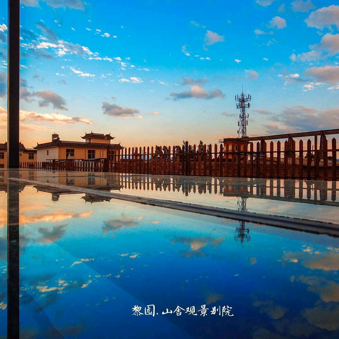 喜番莲