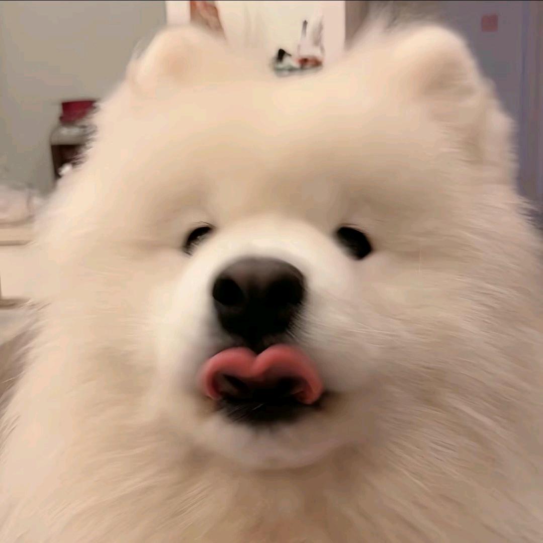 裁云