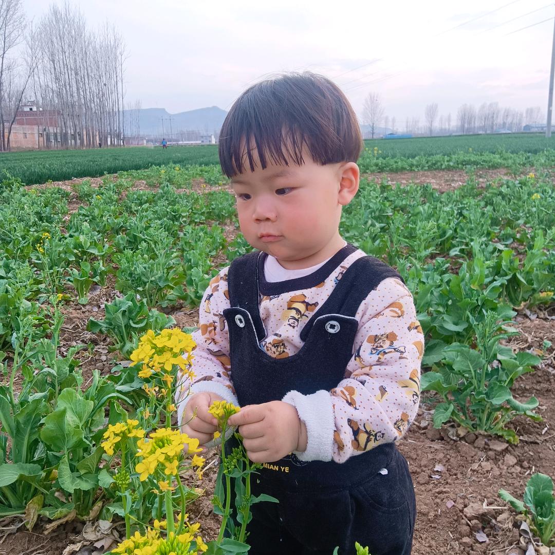 鳯姿彩鼓舞队《雪花飘飘》
