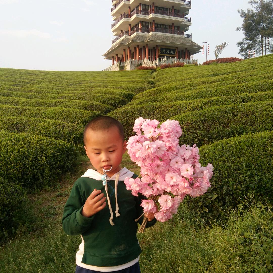 红中:用户6606638184878