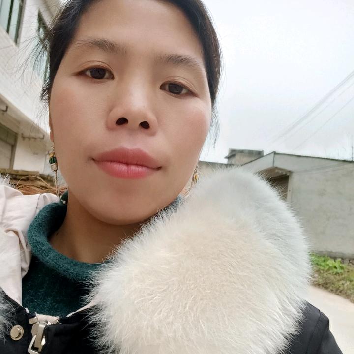 罗令梅