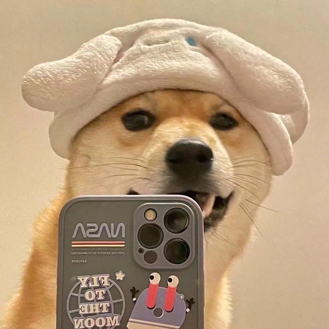 郑小猫