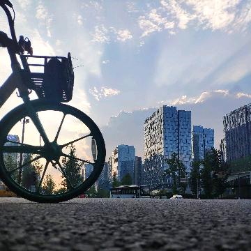 青春没有售价，货车干到拉萨