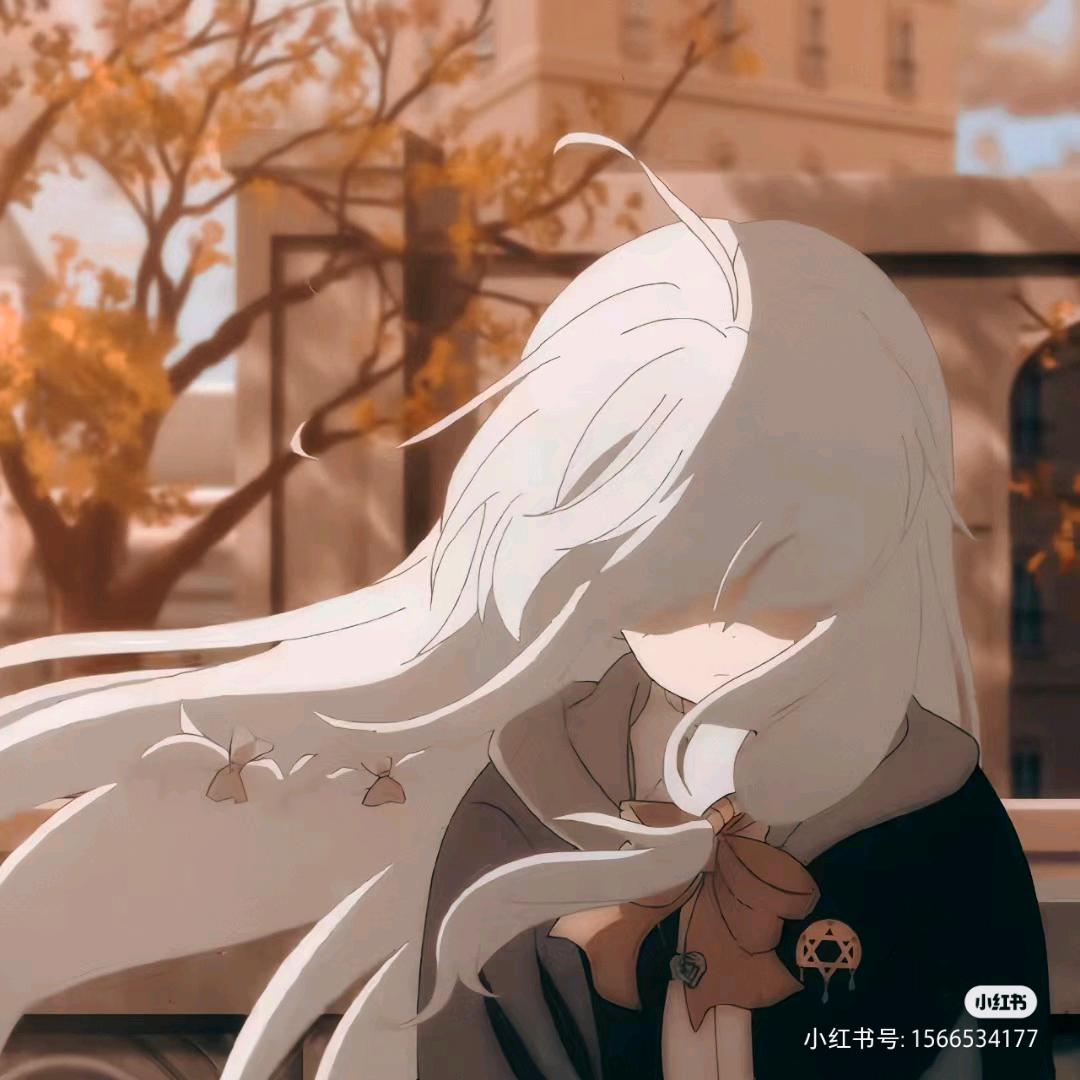 不惧风