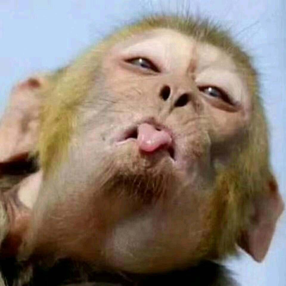 男人要有大姨夫才公平