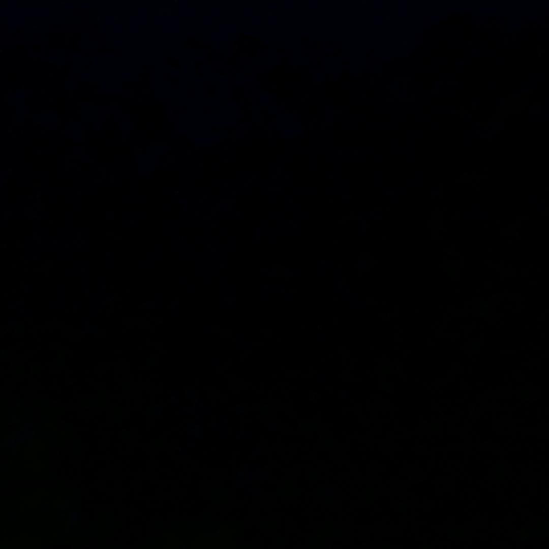 西安租房小虫